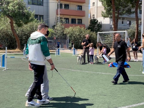 ΟΙ ΤΕΤΡΑΠΟΔΟΙ ΣΕ ΒΟΗΘΟΥΝ!