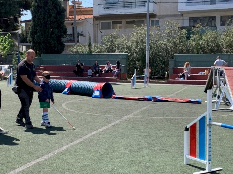 ΟΙ ΤΕΤΡΑΠΟΔΟΙ ΣΕ ΒΟΗΘΟΥΝ!