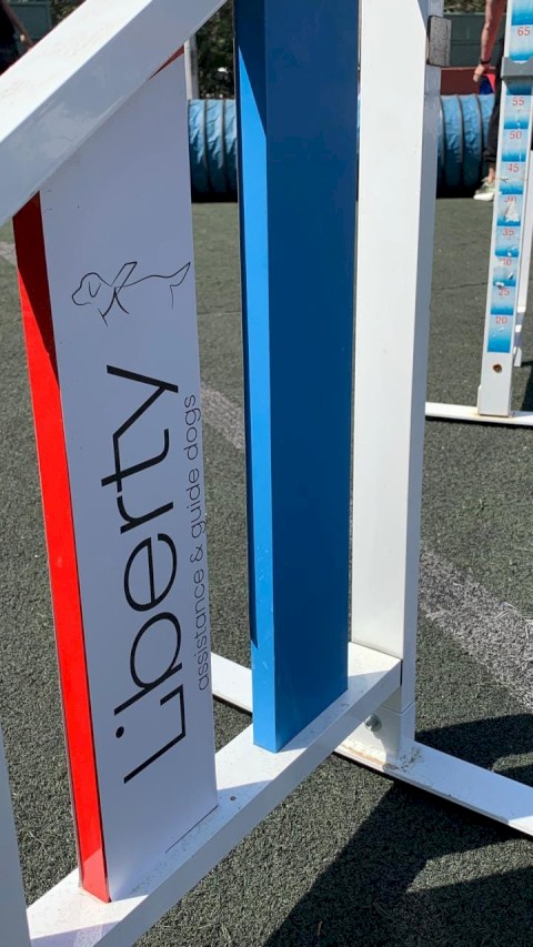 ΟΙ ΤΕΤΡΑΠΟΔΟΙ ΣΕ ΒΟΗΘΟΥΝ!