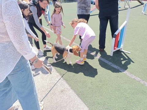 ΟΙ ΤΕΤΡΑΠΟΔΟΙ ΣΕ ΒΟΗΘΟΥΝ!