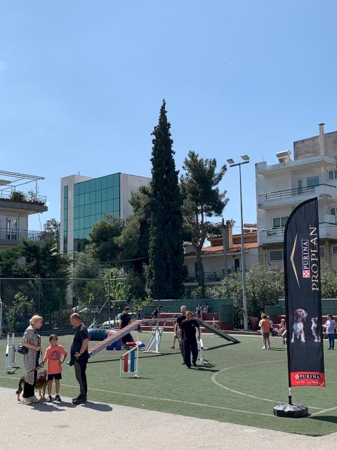 ΟΙ ΤΕΤΡΑΠΟΔΟΙ ΣΕ ΒΟΗΘΟΥΝ!