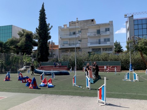 ΟΙ ΤΕΤΡΑΠΟΔΟΙ ΣΕ ΒΟΗΘΟΥΝ!