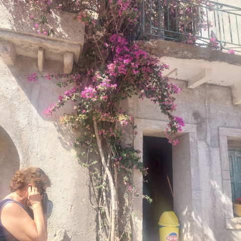 ....ένας όμορφος χρόνος Δραστηριοτήτων... έφτασε στο τέλος του...!