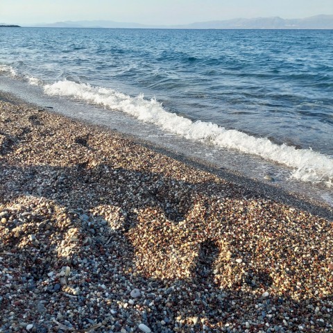 ....ένας όμορφος χρόνος Δραστηριοτήτων... έφτασε στο τέλος του...!