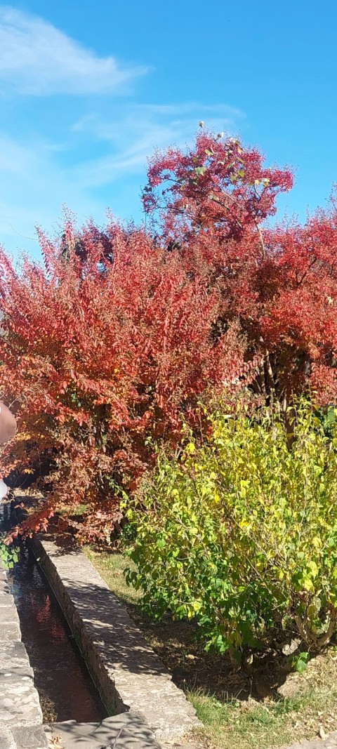 Τριήμερη εκδρομή Ιωάννινα, Μέτσοβο, Ζαγοροχώρια, Καλπάκι!