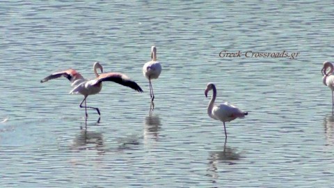 Η ΦΘΙΝΟΠΩΡΙΝΗ ΜΑΣ ΕΚΔΡΟΜΗ - ΘΕΣΣΑΛΟΝΙΚΗ